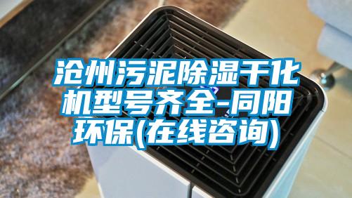 滄州污泥除濕干化機(jī)型號(hào)齊全-同陽(yáng)環(huán)保(在線咨詢)