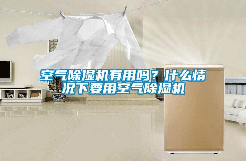 空氣除濕機(jī)有用嗎？什么情況下要用空氣除濕機(jī)