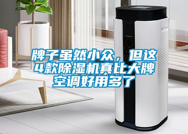 牌子雖然小眾，但這4款除濕機(jī)真比大牌空調(diào)好用多了