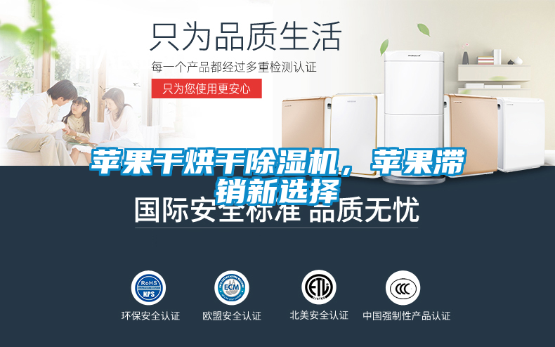 蘋果干烘干除濕機(jī)，蘋果滯銷新選擇