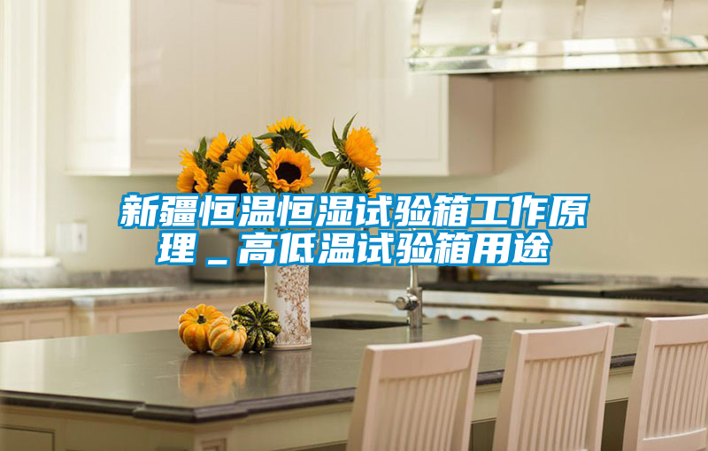 新疆恒溫恒濕試驗(yàn)箱工作原理_高低溫試驗(yàn)箱用途