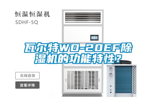 瓦爾特WD-20EF除濕機的功能特性？