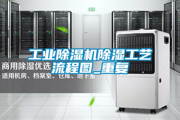 工業(yè)除濕機除濕工藝流程圖_重復