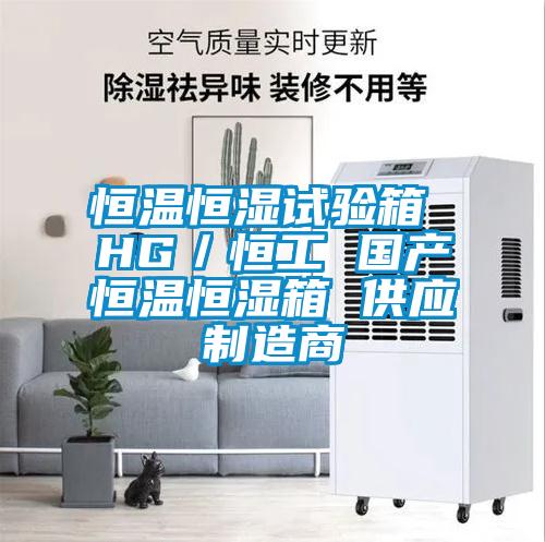 恒溫恒濕試驗箱 HG／恒工 國產(chǎn)恒溫恒濕箱 供應制造商