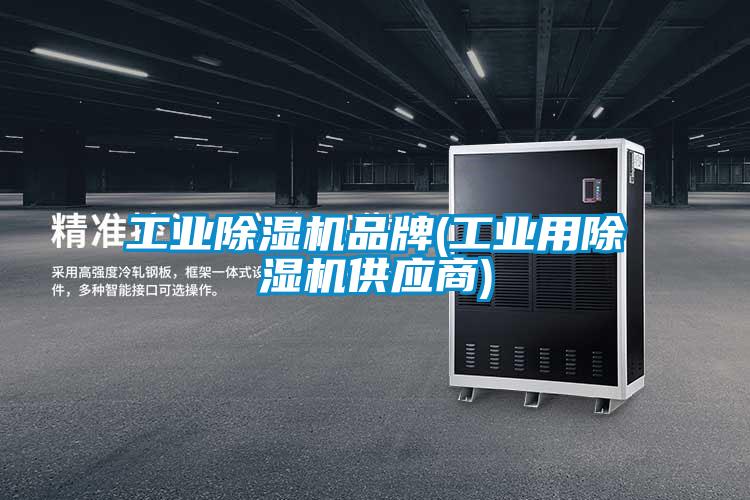 工業(yè)除濕機品牌(工業(yè)用除濕機供應(yīng)商)