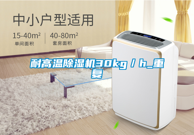 耐高溫除濕機(jī)30kg/h_重復(fù)