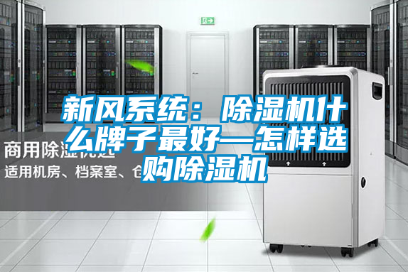 新風(fēng)系統(tǒng):除濕機(jī)什么牌子最好—怎樣選購除濕機(jī)