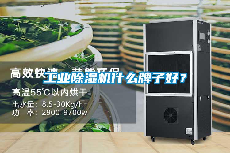 工業(yè)除濕機(jī)什么牌子好？