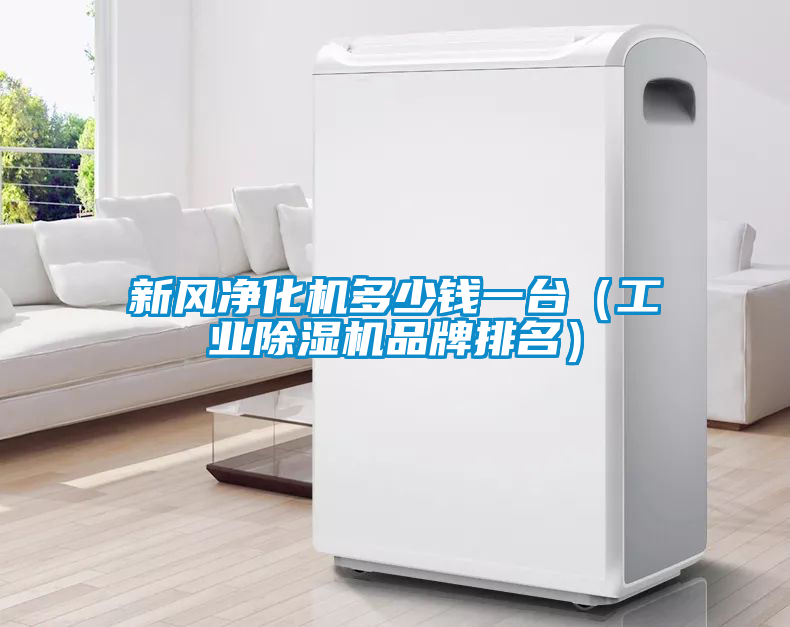 新風凈化機多少錢一臺(工業(yè)除濕機品牌排名)