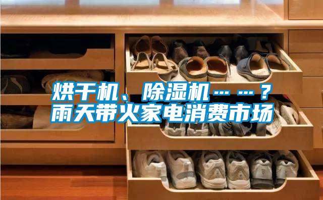 烘干機(jī)、除濕機(jī)……？雨天帶火家電消費市場