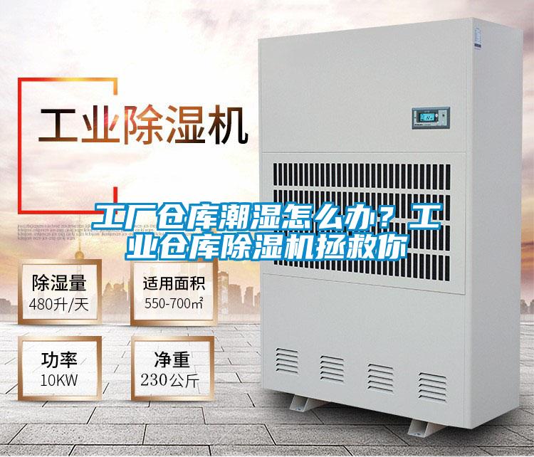 工廠倉庫潮濕怎么辦？工業(yè)倉庫除濕機拯救你