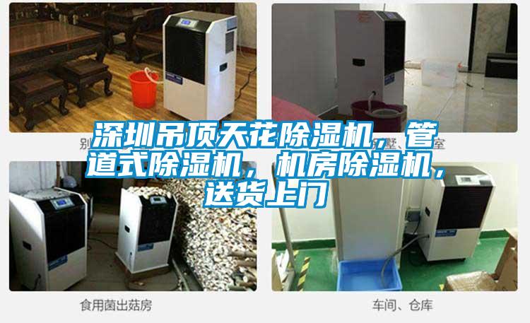 深圳吊頂天花除濕機(jī)，管道式除濕機(jī)，機(jī)房除濕機(jī)，送貨上門