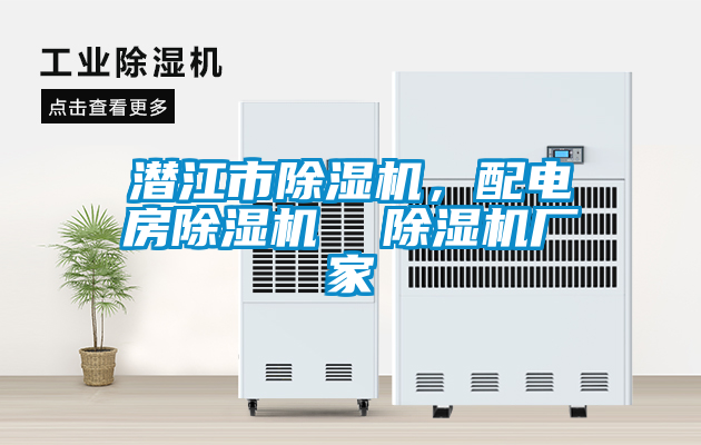 潛江市除濕機(jī)，配電房除濕機(jī)  除濕機(jī)廠家