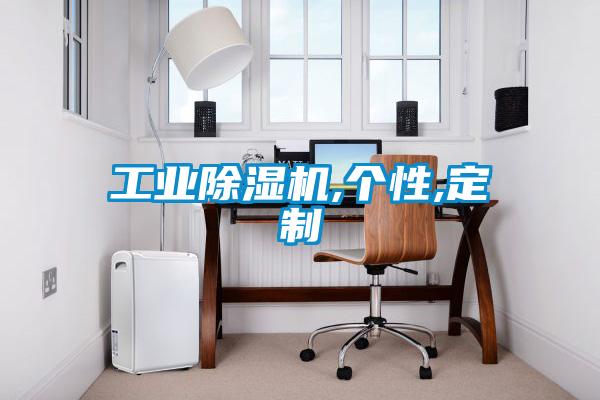 工業(yè)除濕機(jī),個(gè)性,定制