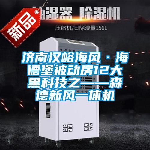 濟(jì)南漢峪海風(fēng)·海德堡被動(dòng)房12大黑科技之——森德新風(fēng)一體機(jī)