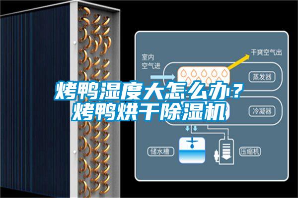 烤鴨濕度大怎么辦？烤鴨烘干除濕機(jī)