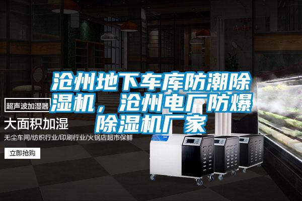 滄州地下車庫防潮除濕機(jī)，滄州電廠防爆除濕機(jī)廠家