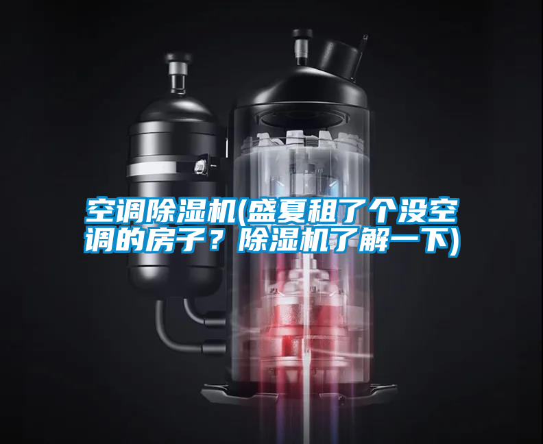 空調(diào)除濕機(盛夏租了個沒空調(diào)的房子？除濕機了解一下)