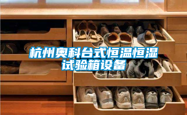杭州奧科臺式恒溫恒濕試驗箱設(shè)備