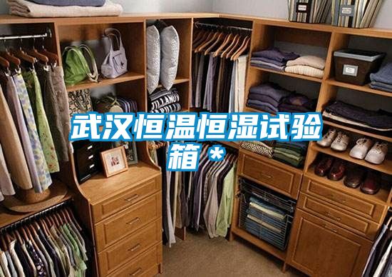 武漢恒溫恒濕試驗(yàn)箱*