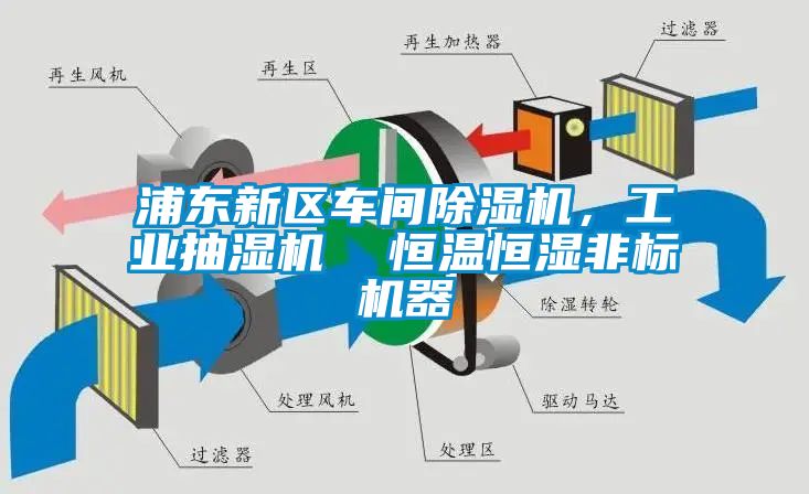 浦東新區(qū)車間除濕機，工業(yè)抽濕機  恒溫恒濕非標機器