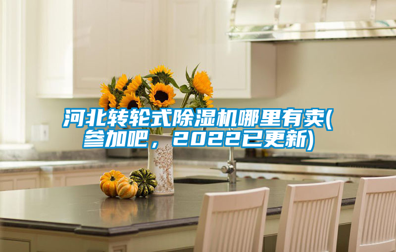 河北轉(zhuǎn)輪式除濕機(jī)哪里有賣(參加吧，2022已更新)