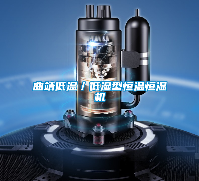 曲靖低溫/低濕型恒溫恒濕機(jī)