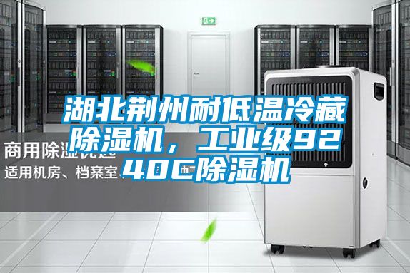 湖北荊州耐低溫冷藏除濕機(jī)，工業(yè)級(jí)9240C除濕機(jī)