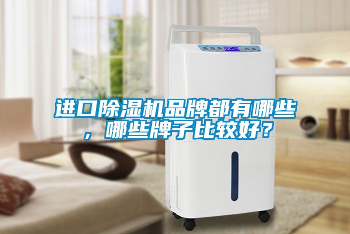 進(jìn)口除濕機(jī)品牌都有哪些，哪些牌子比較好？