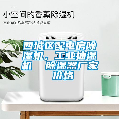 西城區(qū)配電房除濕機(jī)，工業(yè)抽濕機(jī)  除濕器廠家 價(jià)格