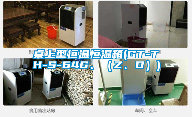 桌上型恒溫恒濕箱(GT-TH-S-64G、（Z、D）)