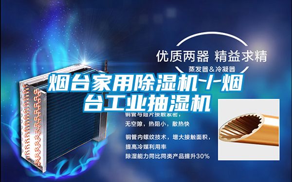煙臺家用除濕機(jī)/煙臺工業(yè)抽濕機(jī)