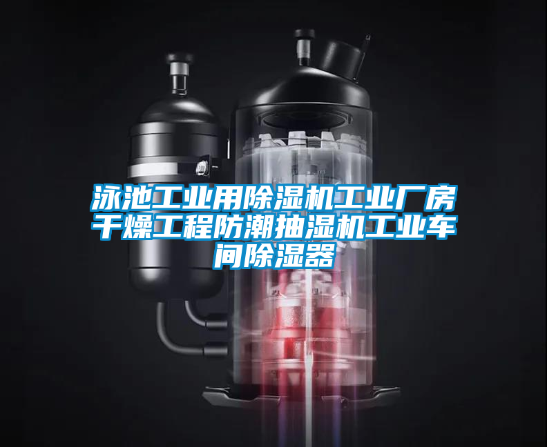 泳池工業(yè)用除濕機工業(yè)廠房干燥工程防潮抽濕機工業(yè)車間除濕器