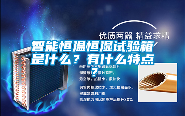 智能恒溫恒濕試驗(yàn)箱是什么？有什么特點(diǎn)？