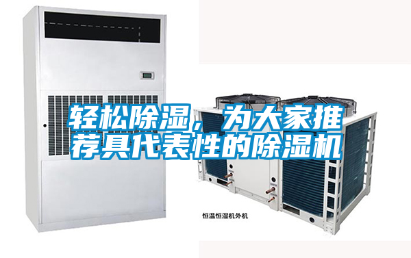 輕松除濕，為大家推薦具代表性的除濕機(jī)