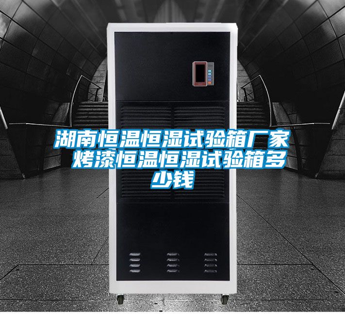 湖南恒溫恒濕試驗(yàn)箱廠家 烤漆恒溫恒濕試驗(yàn)箱多少錢