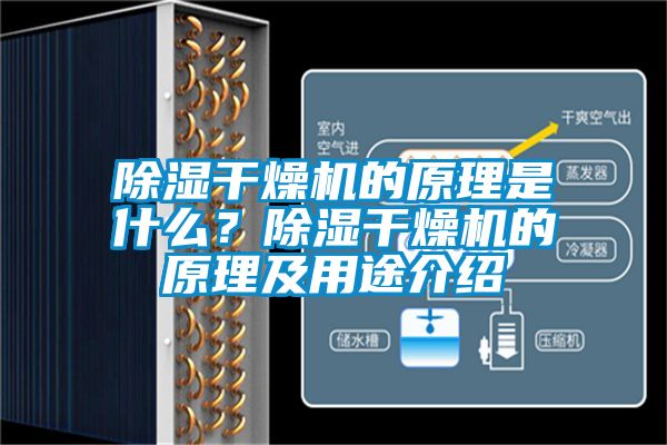 除濕干燥機的原理是什么？除濕干燥機的原理及用途介紹