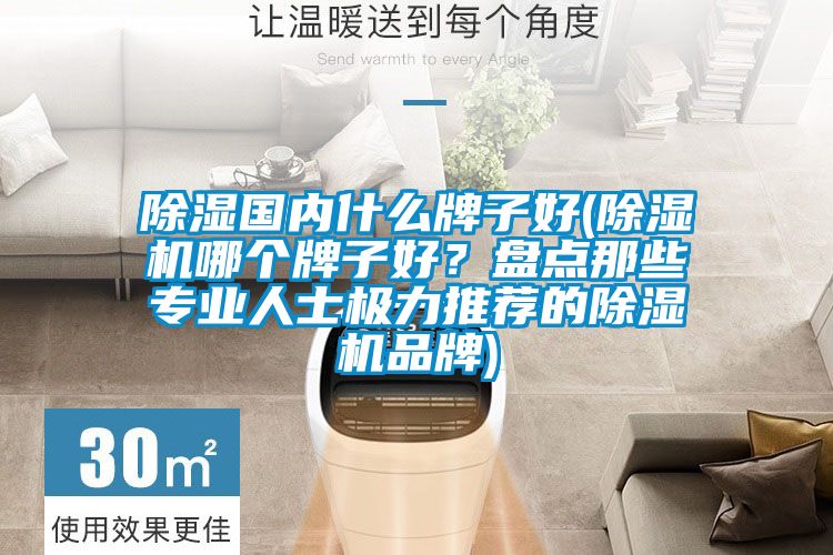 除濕國內(nèi)什么牌子好(除濕機哪個牌子好？盤點那些專業(yè)人士極力推薦的除濕機品牌)
