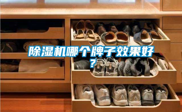 除濕機(jī)哪個牌子效果好？