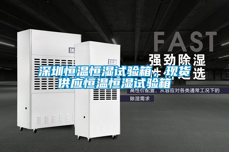 深圳恒溫恒濕試驗(yàn)箱，現(xiàn)貨供應(yīng)恒溫恒濕試驗(yàn)箱