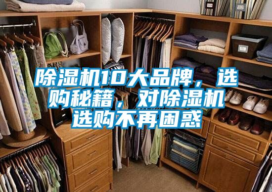 除濕機10大品牌，選購秘籍，對除濕機選購不再困惑
