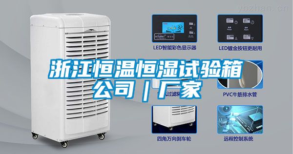浙江恒溫恒濕試驗箱公司|廠家