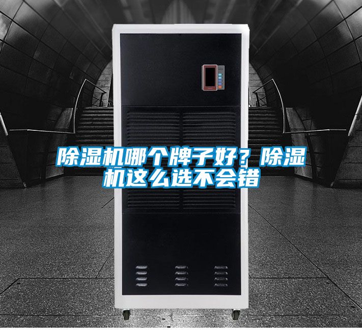 除濕機(jī)哪個牌子好？除濕機(jī)這么選不會錯