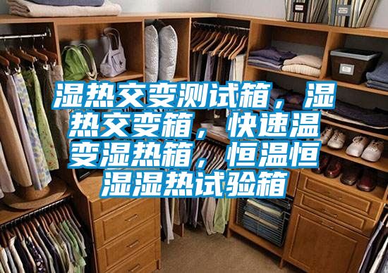 濕熱交變測(cè)試箱，濕熱交變箱，快速溫變濕熱箱，恒溫恒濕濕熱試驗(yàn)箱