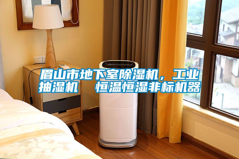 眉山市地下室除濕機(jī)，工業(yè)抽濕機(jī)  恒溫恒濕非標(biāo)機(jī)器