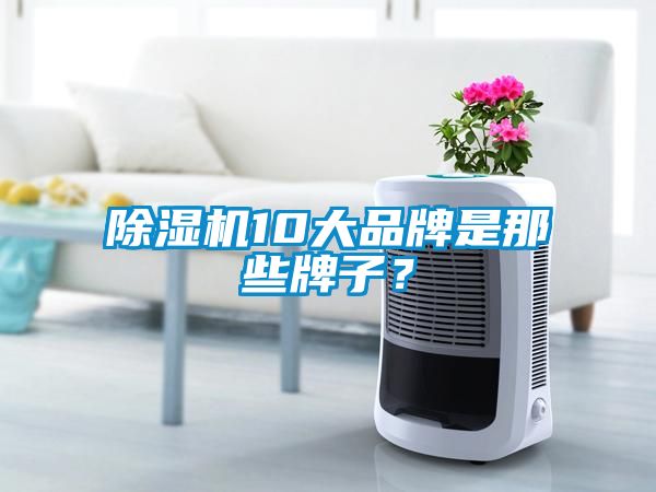 除濕機(jī)10大品牌是那些牌子?