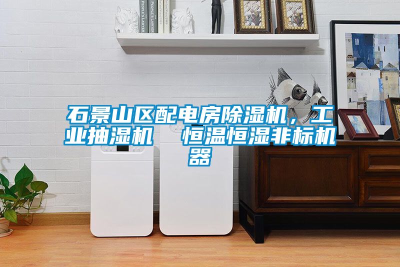 石景山區(qū)配電房除濕機(jī)，工業(yè)抽濕機(jī)  恒溫恒濕非標(biāo)機(jī)器