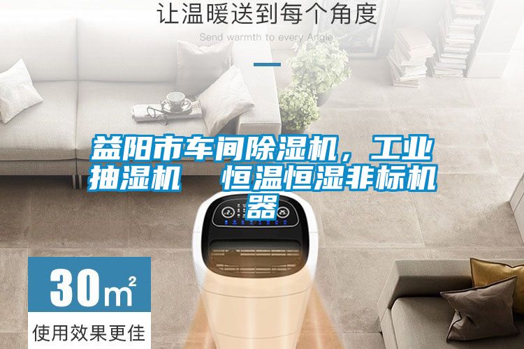 益陽(yáng)市車間除濕機(jī),工業(yè)抽濕機(jī) 恒溫恒濕非標(biāo)機(jī)器