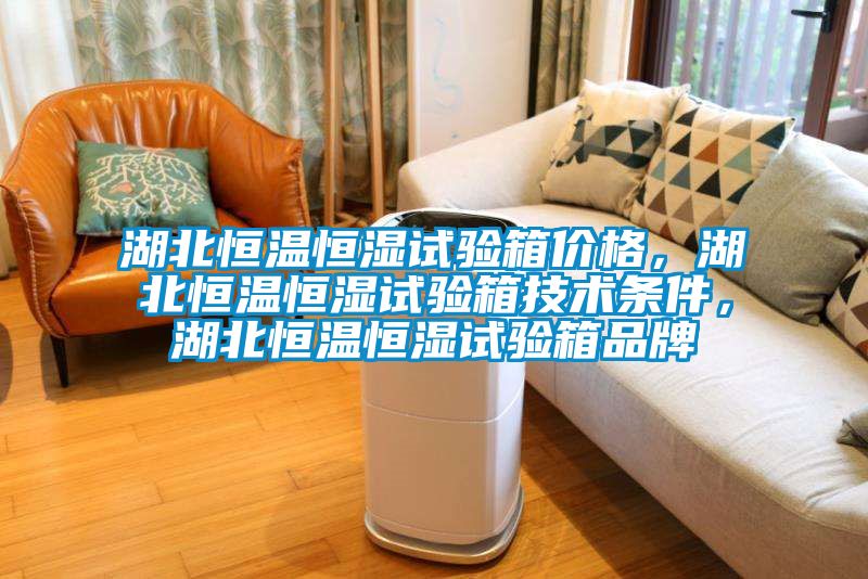 湖北恒溫恒濕試驗箱價格，湖北恒溫恒濕試驗箱技術(shù)條件，湖北恒溫恒濕試驗箱品牌