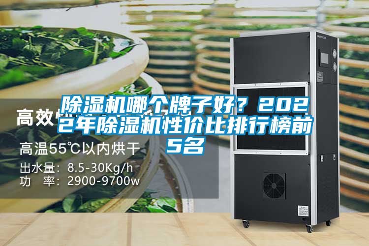 除濕機(jī)哪個牌子好？2022年除濕機(jī)性價比排行榜前5名